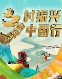 乡村振兴中国行海报